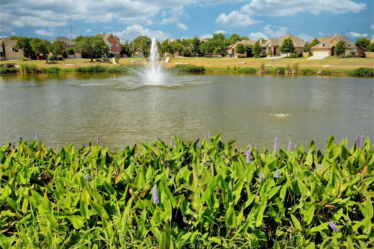 Fountain pond